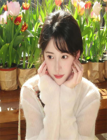 追剧全攻略：芭比之美人鱼历险记2010番外的补充叙事与世界观扩展——专业团队技术解析